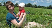 City Fruit-Picking Image 7
