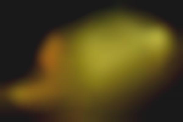 Smoke-Filled Photography