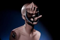 Red-Handed Photography Image 2