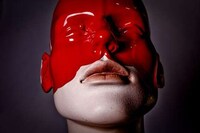 Red-Handed Photography Image 4
