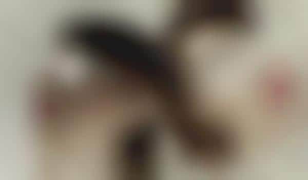 Whiteout Shades 
