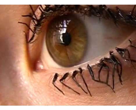 16 Interesting Insect Accessories