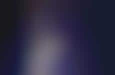 Niche Nightclubs