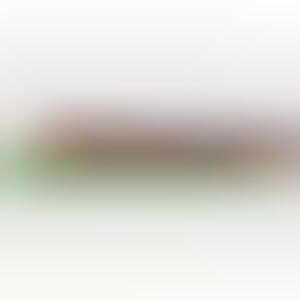 Veggie Writing Tools 