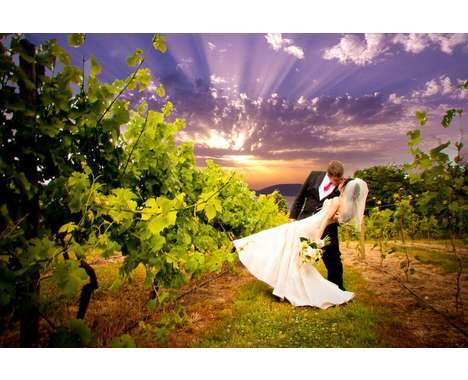 56 Wild and Wonderful Weddings