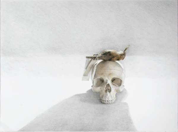 Dead Bird Artistry