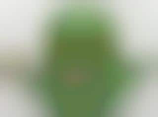 Green Alien Headgear