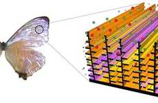 Chemical Butterfly Technology