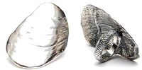 Sea Anemone-Inspired Rings Image 7