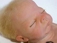 Tattooed Baby Art Image 6