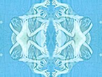 Bare Kaleidoscope Portraiture Image 2