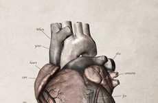 Heartbreaking Anatomy Posters
