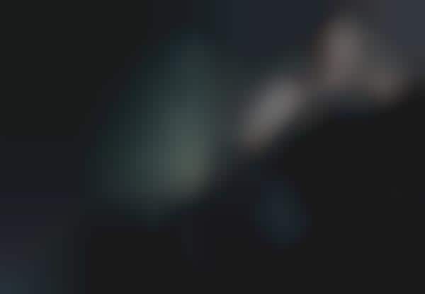 Dainty Dame Editorials