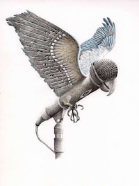 Musical Mammal Illustrations Image 2