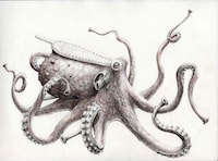 Musical Mammal Illustrations Image 3