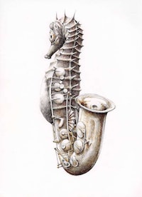 Musical Mammal Illustrations Image 4