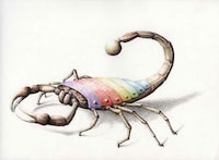 Musical Mammal Illustrations Image 8
