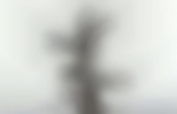 Manipulated Abstract Architecture