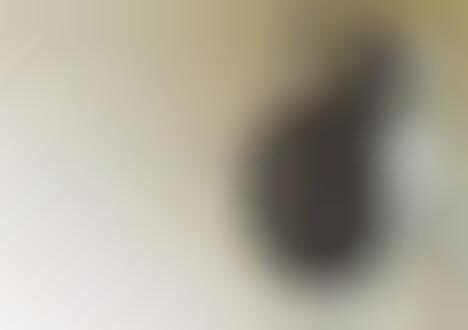 Drum Set Sound Systems