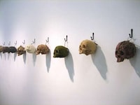 Skeletal Art Exhibits Image 7