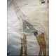 Animal-Shaped Cities Image 2