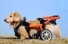 Doggie Wheelchairs