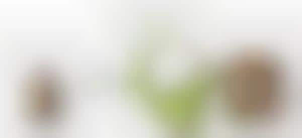 Exploding Flower Grenades