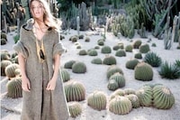Exotic Cacti Spreads Image 4