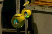 Urban Bird Abodes Image 3