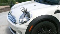 Flirty Feminized Vehicles Image 3