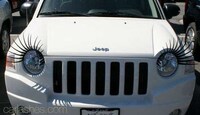 Flirty Feminized Vehicles Image 6