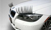 Flirty Feminized Vehicles Image 8