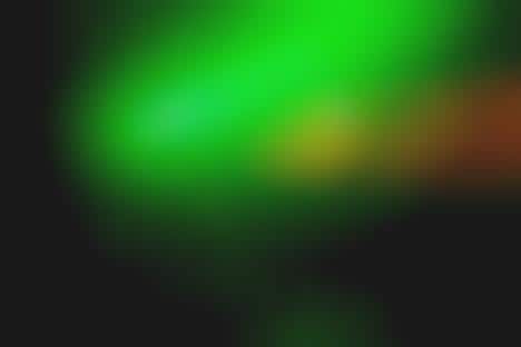 Undisclosed Film Screenings