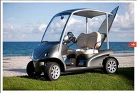 Street Legal Golf Carts Image 4