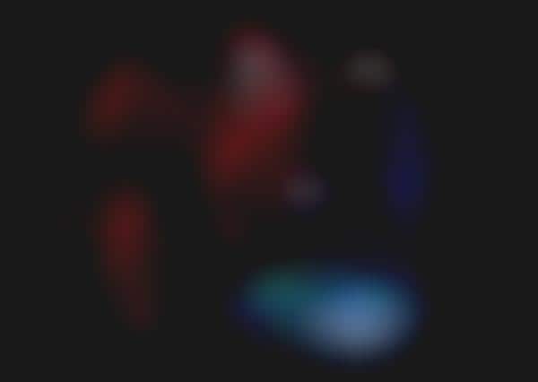 Illuminated Celebrity Art