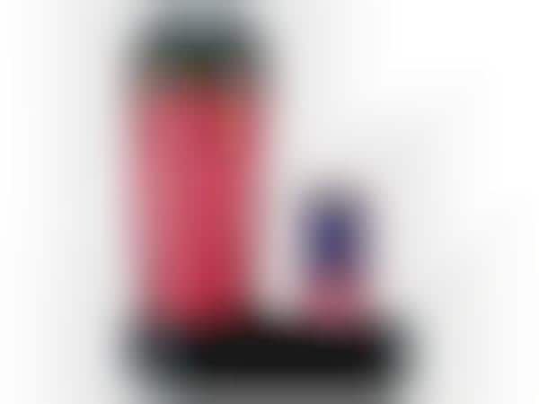 Singing Travel Mugs
