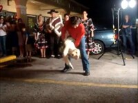 Gifted Dancing Dogs Image 3