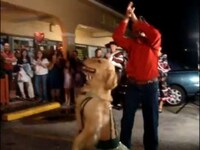 Gifted Dancing Dogs Image 4