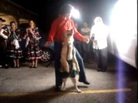 Gifted Dancing Dogs Image 5