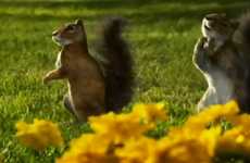 Singing Squirrel Commercials