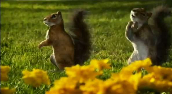 Singing Squirrel Commercials