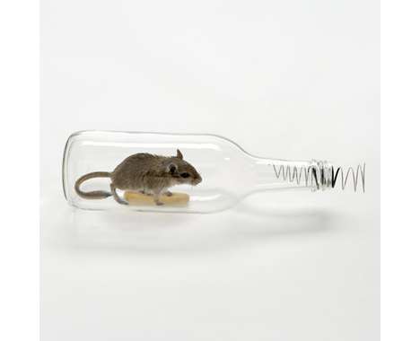10 Innovative Mousetrap Designs