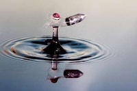 Water-Slicing Photography Image 3