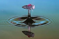 Water-Slicing Photography Image 4