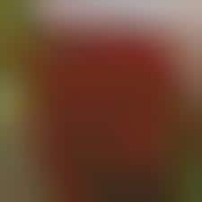 Social Media Sustenance