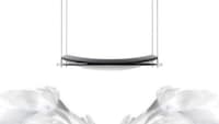 Flighty Fashionable Perches Image 2
