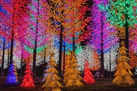LED Theme Parks Image 3
