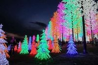 LED Theme Parks Image 4