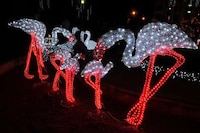 LED Theme Parks Image 5