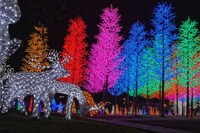 LED Theme Parks Image 7